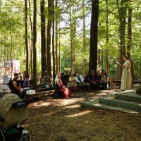 A wedding in the grove
