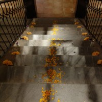 Flower strewn stairs, Galeria de Ida Victoria