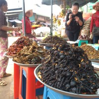 Fried Spiders, Insect Market - Skuon, Cambodia