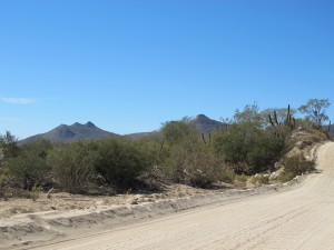 Desert Road and Mountains