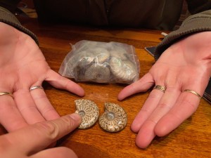 Jade Patterned Ammonites and bag of Opalized Ammonites. 