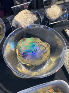 Rough Australian Opal