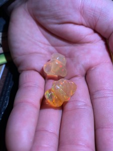 Two carved Mexican Fire opal nuggets that I examine and purchase.