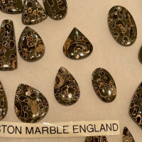 Marston Marble Ammonites England